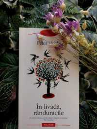 In Livada, randunicile - Peter Hobbs