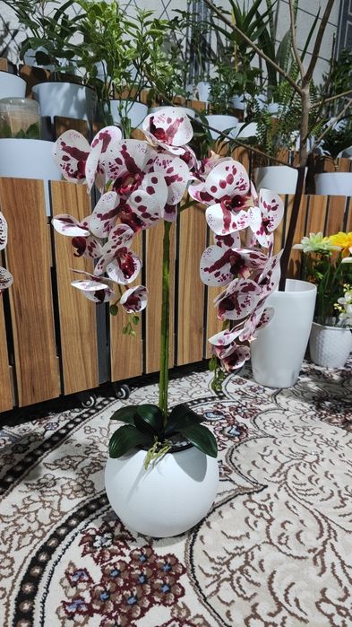 Суней гулар  оптом