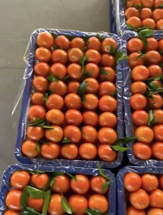 В продаже высший сорт мандарина "Королевский", оптом и в розницу
