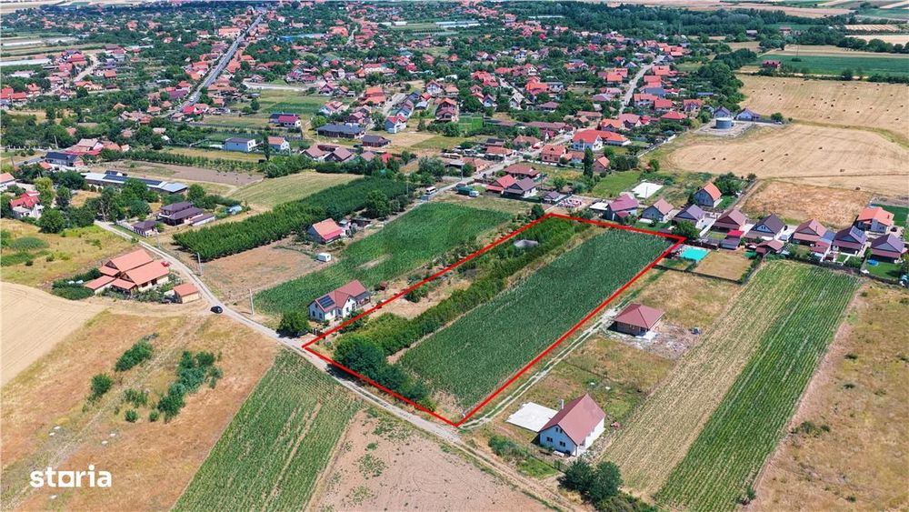 RECO Teren intravilan Biharia