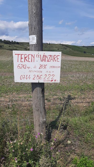 Vând teren vis-a-vis de Transeuro