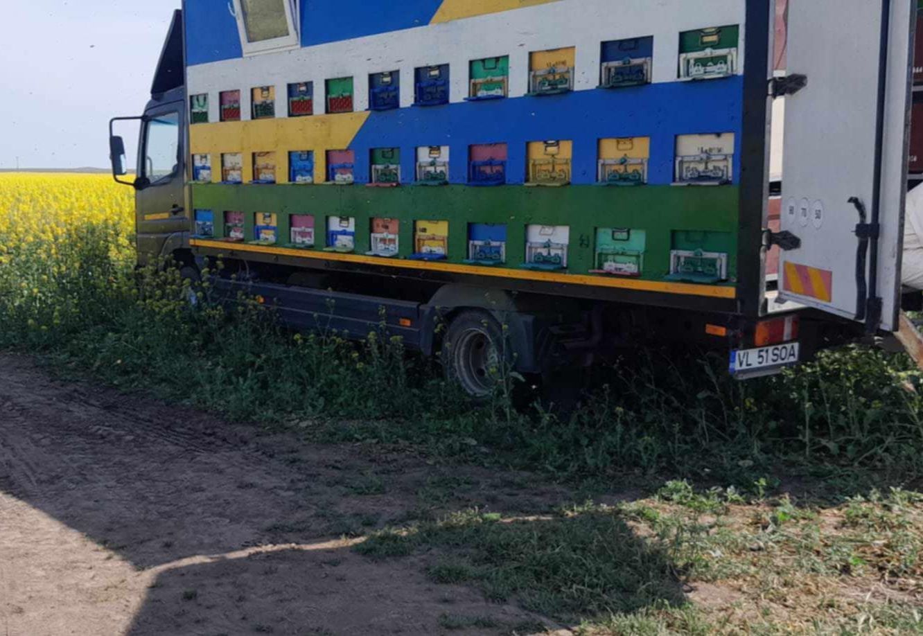 Vand/schimb camion apicol 7.5 tone