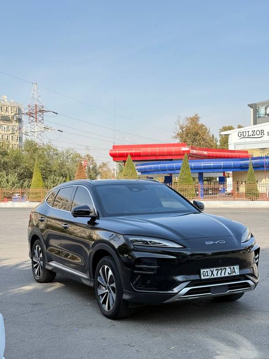 Byd champion  605 km holati ideal kelishamza 2024 yili