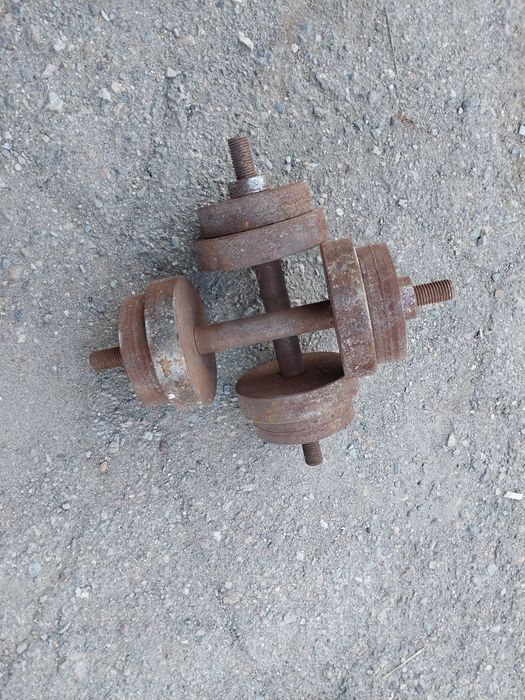 2 гантели разборные по 10кг каждая. Торга нет.