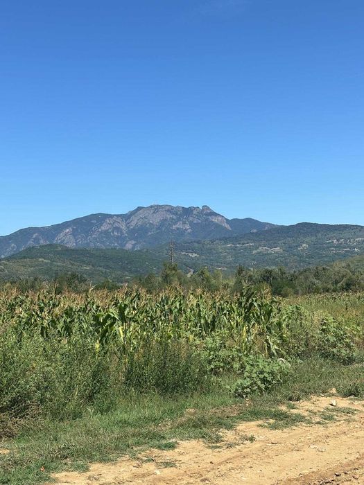 Teren de vanzare Calimanesti - Valcea