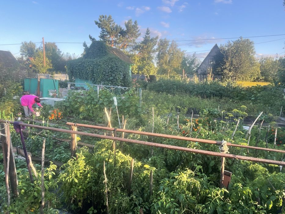 Дача в новопавловке