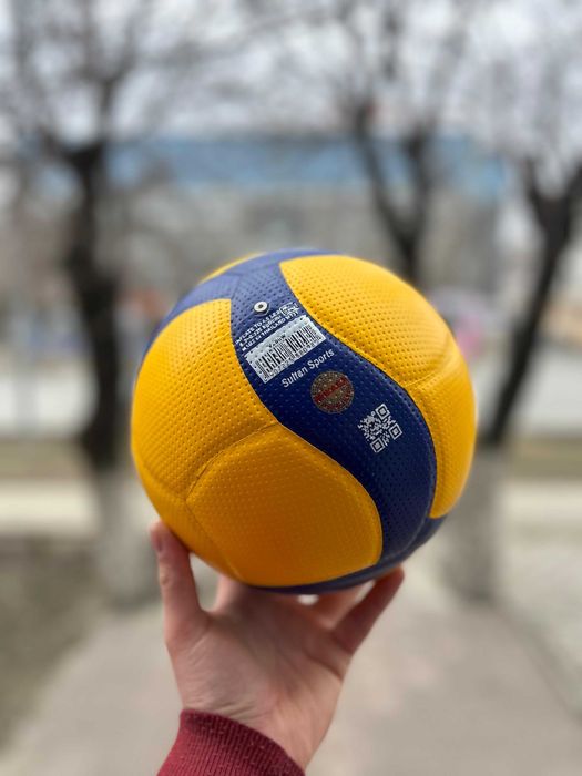 Волейбольный мяч Mikasa MVA V200W