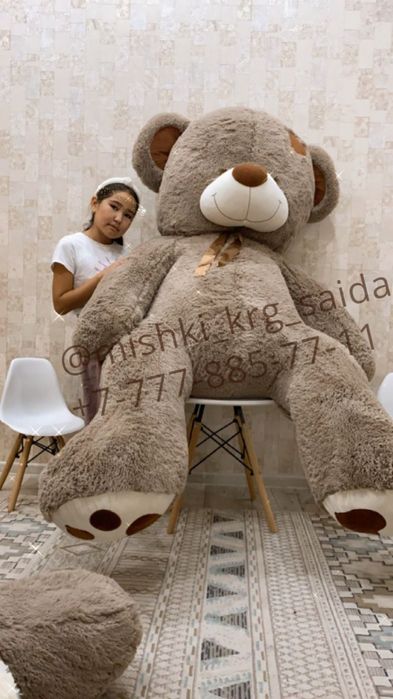 Мишки Тедди Тэдди мишка Teddy