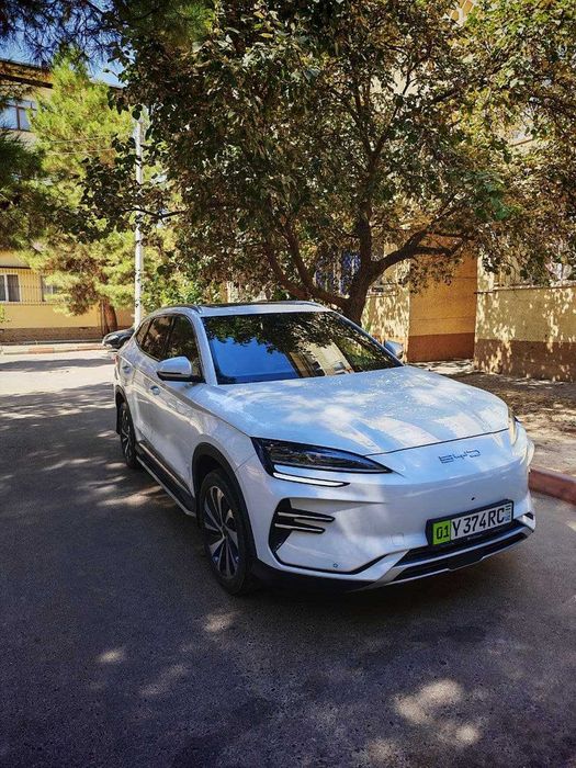 Профессиональный туристический водитель - услуги по туризму