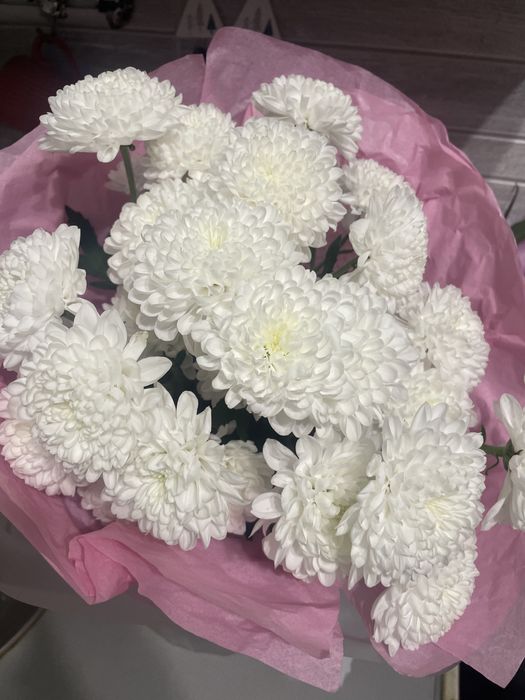 Продаються цвеиы