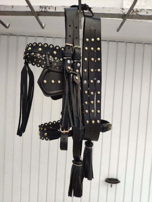 capici-cu-salba CAL/MAGAR/PONEI | set premium ... ⟣GARANTIE ⁴⁸