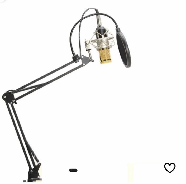 Microfon Profesional de Studio Condenser