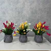 Декоративные цветы - Dekorativ gullar