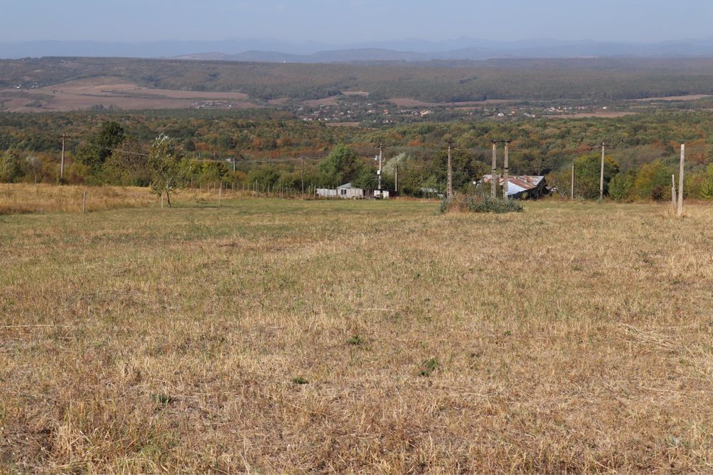 Teren Intravilan pe Drumul Vinului cu vedere panoramica