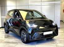 Byd Seagull 2024