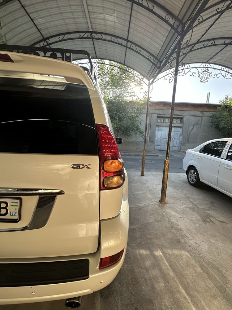 Orqa fara prado 120
