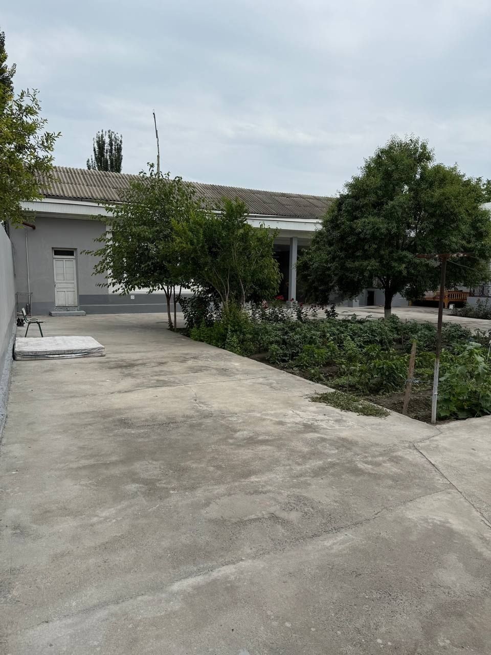 9,3 sotix Xovli bo'lib sotiladi