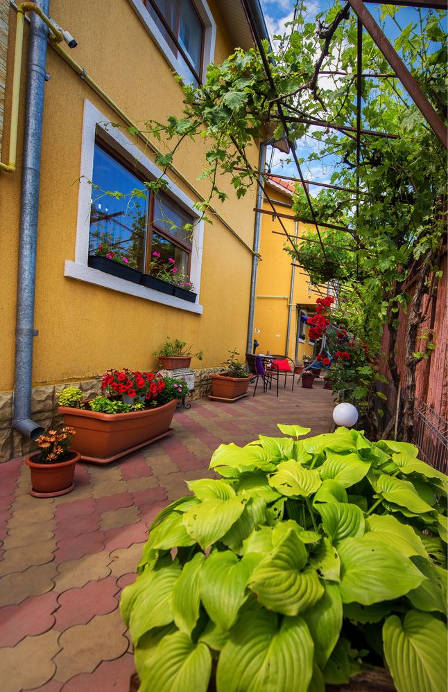Cazare Mangalia | Cazare La Mare Litoral | Vila Pensiune Hotel