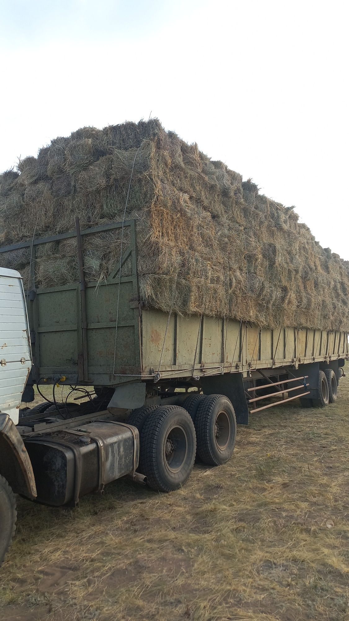 Продам сено в любом количестве