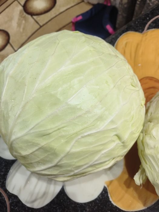Продам капусту МЕГАТОН!!!