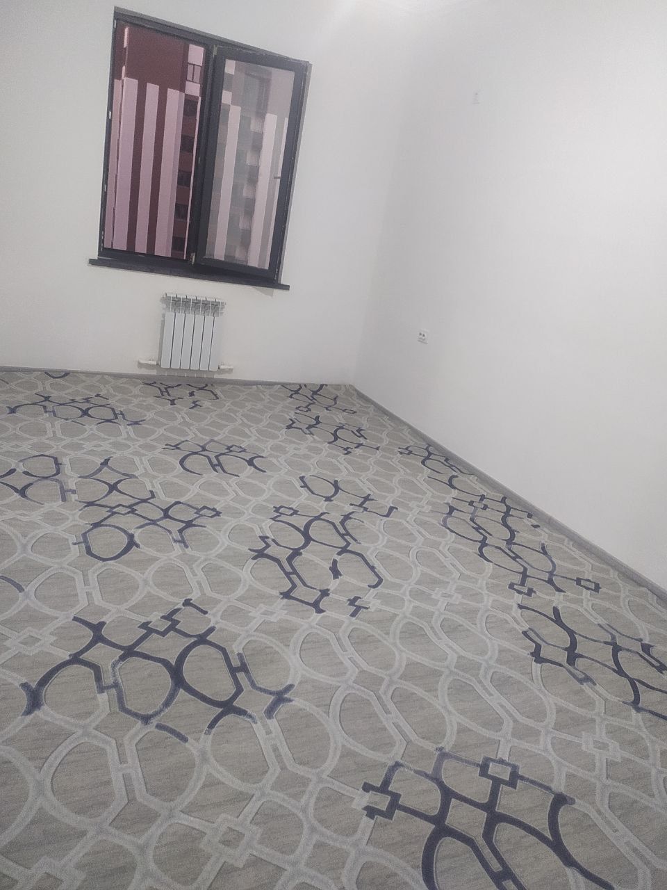 Dom yangi qurilgan uylardan hali odam yashamagan
