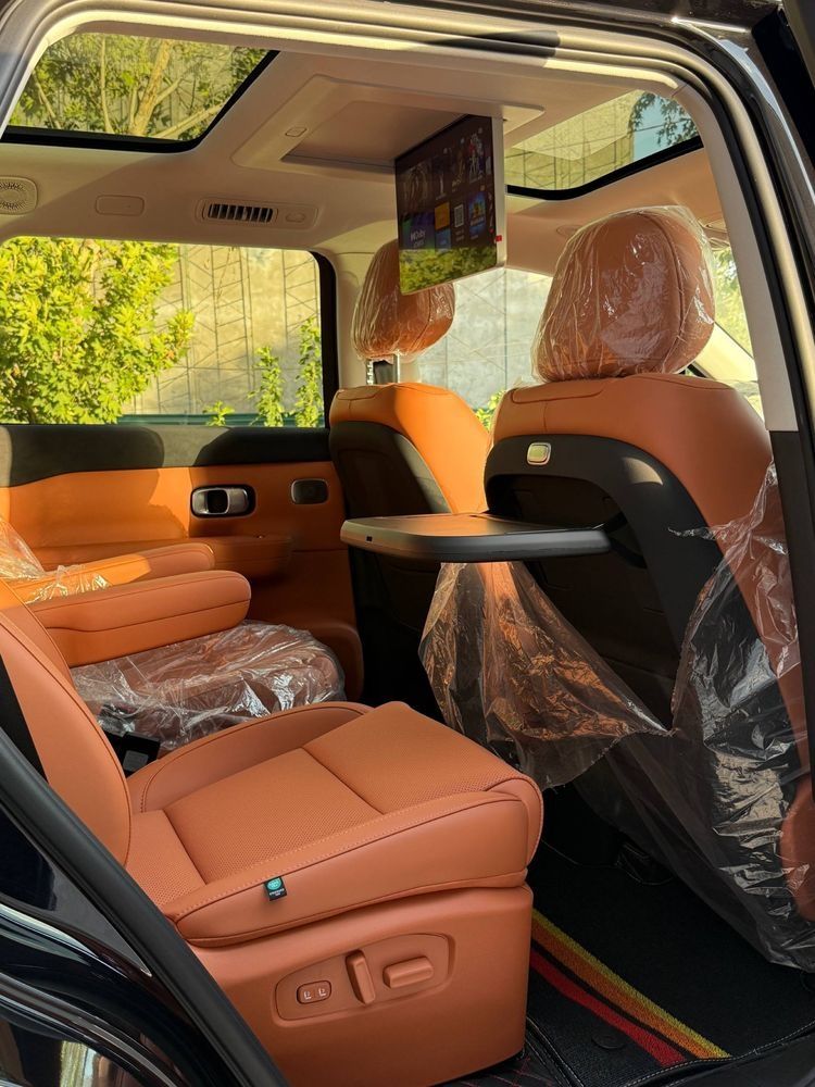 Taxi VIP Leapmotor C16 EV driver , личный водитель