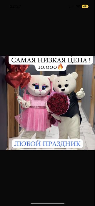Мишка ТЕДДИ и Зайка