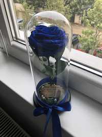 Cupola cu trandafir criongenat albastru inperial