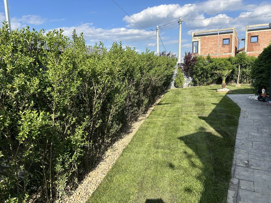 Rulouri de gazon-Rustic