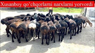 Qochqorlar sotiladi