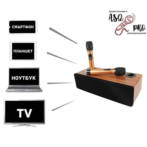 Караоке система ASQ PRO