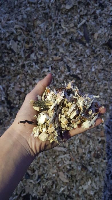 Опилки древесные