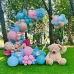 Arcada baloane gender reveal Decor baloane dezvaluire sex bebelus