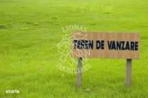 Teren 2,48 ha-ideal case de vacanta/investitie-Ghinda-EXCLUSIV