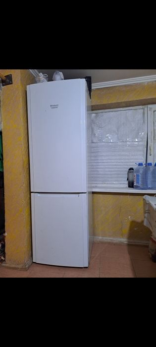 Холодильник Ariston