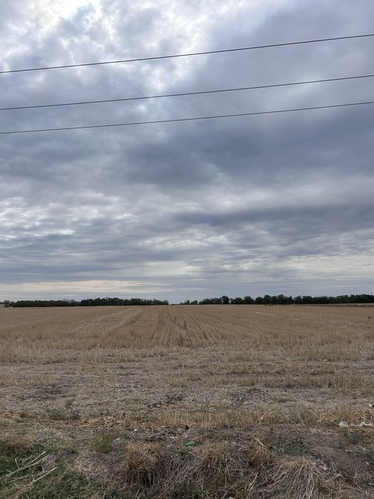 Teren intravilan de vanzare - Carligei Bucovat