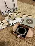 Brățară Pandora ( 18 charm-uri )