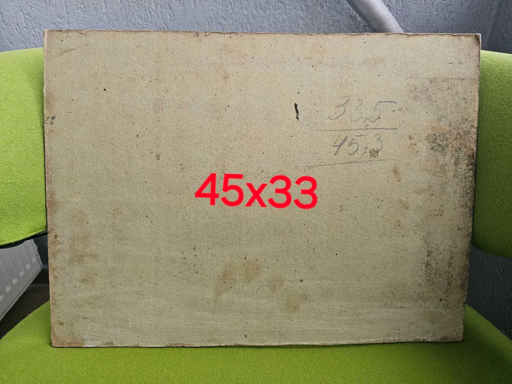 Tablou vechi ulei pe carton 45x33 / preț fix