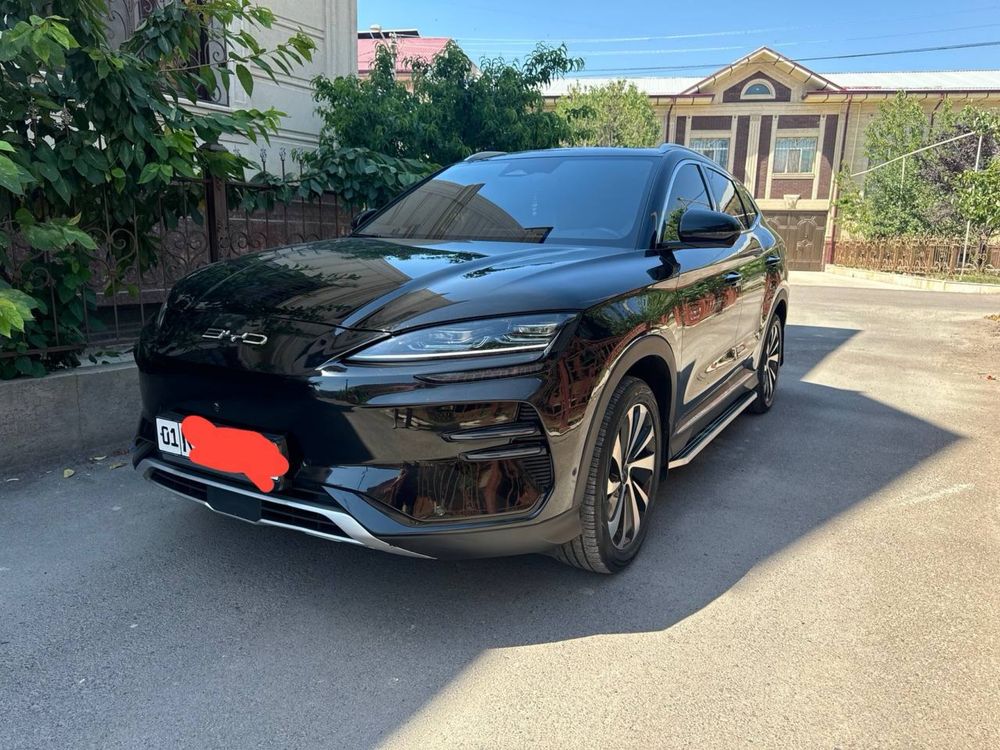 Byd Champion 605km