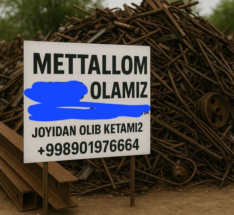 Toshkent bo'ylab metallom olamiz