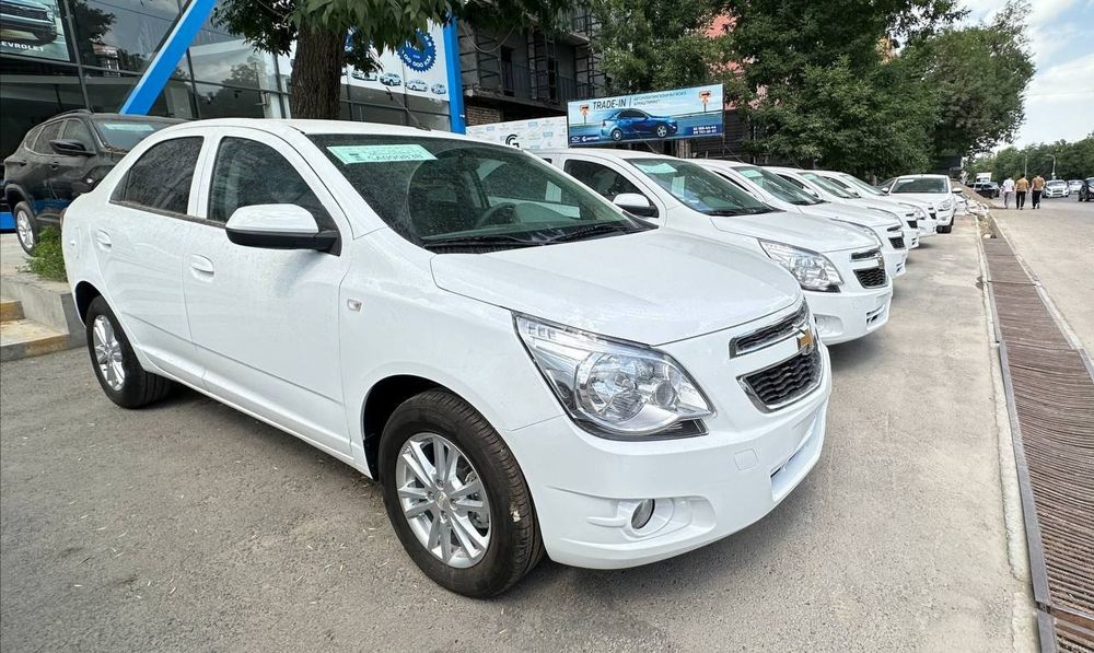 Cobalt 2025 style SALONDAN