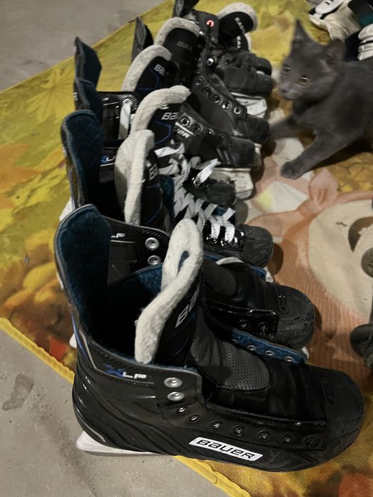 Продам  коньки и экипировку