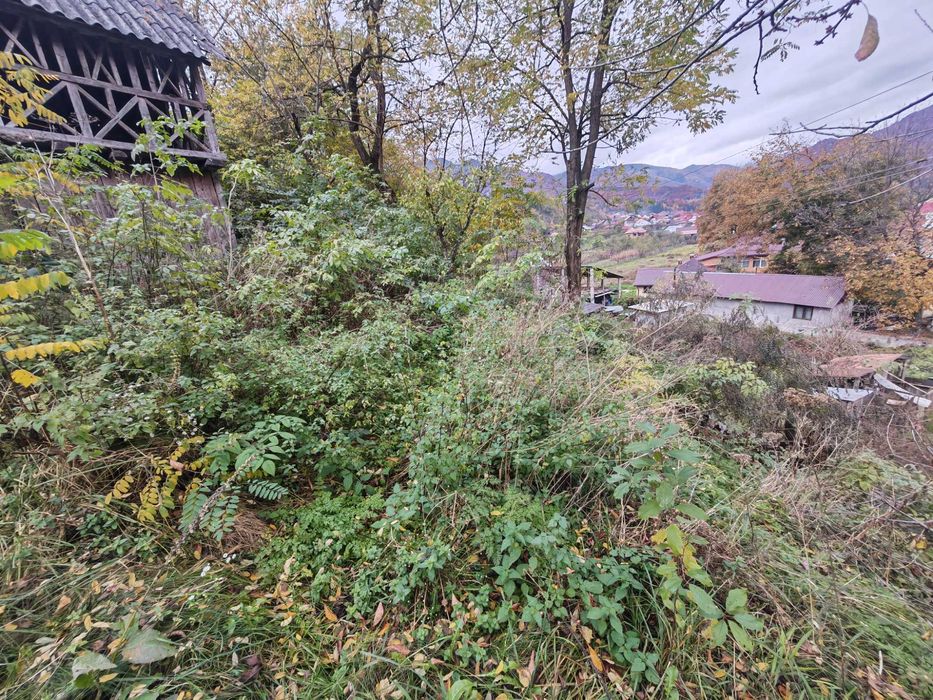 Teren 955mp intravilan Malaia Voineasa Vidra partia ski Transalpina