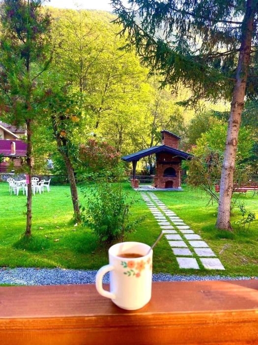 [REV ocupat) Cabana de inchiriat 18 pers-PISCINA si CIUBAR (acceptam C