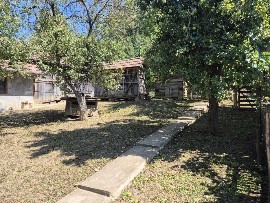 Casă de vânzare în centrul satului Răzoare, Mureș + teren, anexe, gaz