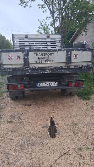 Preț 6000 euro  negociabil