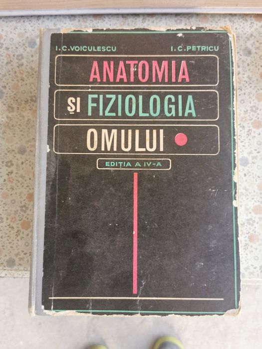 Anatomia și fiziologia omului