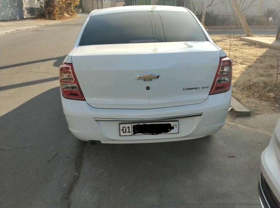 Cobalt 2022 gazi bor