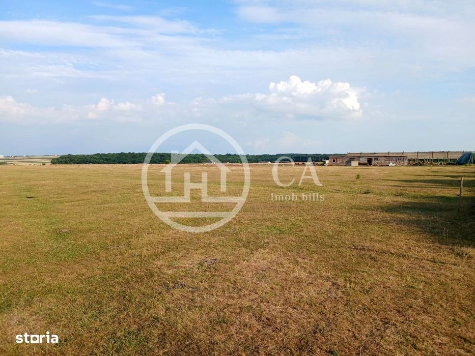 Teren 7700 mp de vanzare in Sanmartin, Bihor