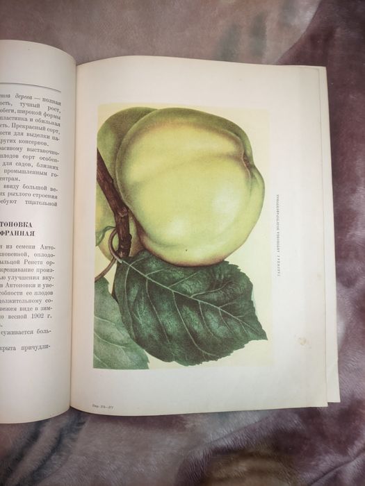 И. В. Мичурин "Итоги шестидесятилетних работ",